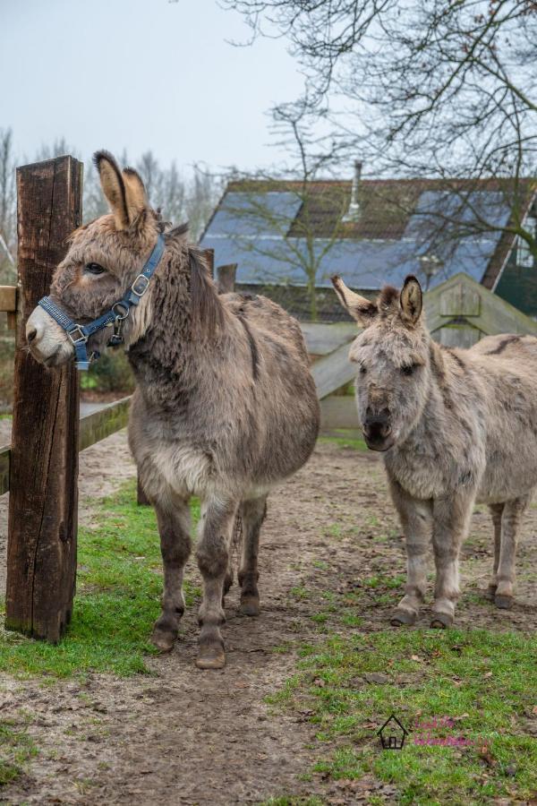 Het Familie Boshuisje - Vakantiewoning Op Prachtig Park Met Veel Faciliteiten Inc Ligbad Gramsbergen エクステリア 写真