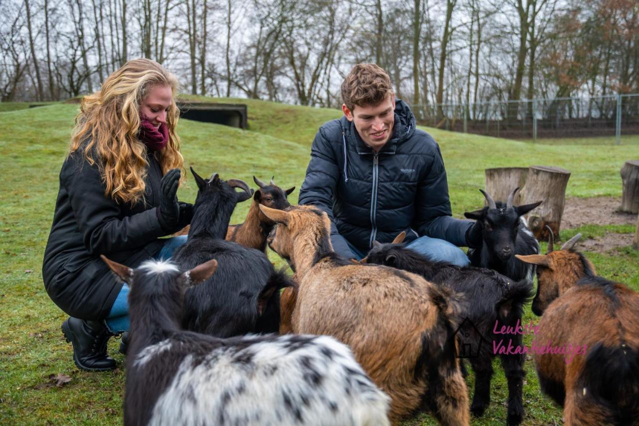 Het Familie Boshuisje - Vakantiewoning Op Prachtig Park Met Veel Faciliteiten Inc Ligbad Gramsbergen エクステリア 写真