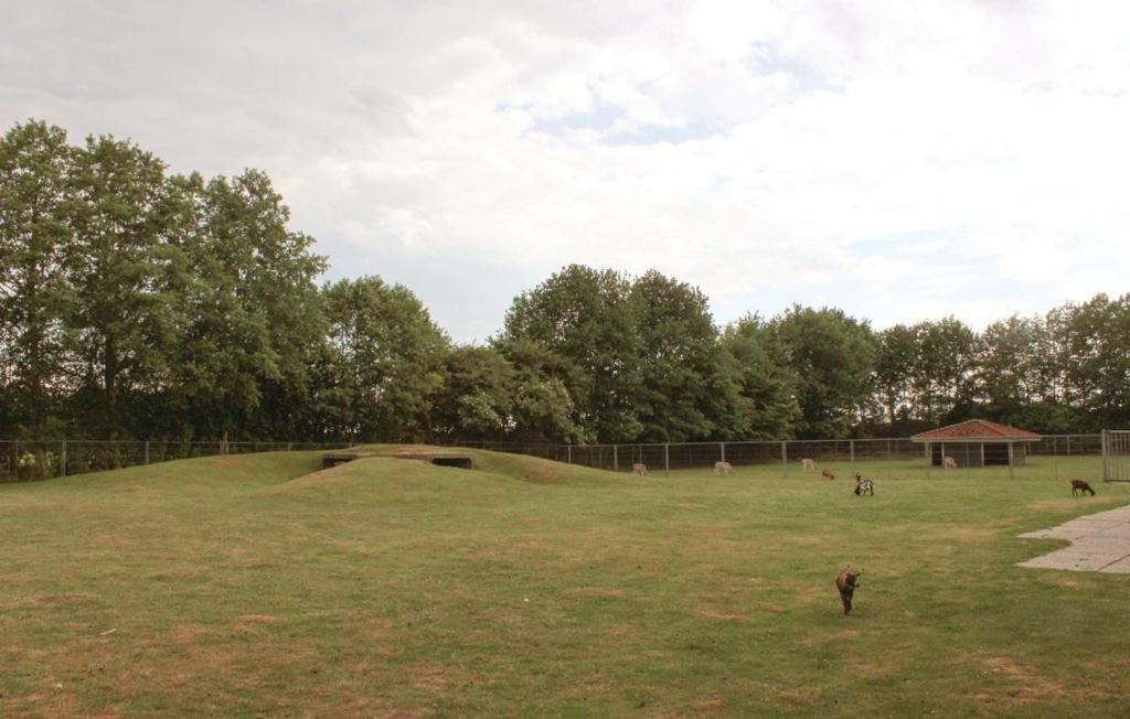 Het Familie Boshuisje - Vakantiewoning Op Prachtig Park Met Veel Faciliteiten Inc Ligbad Gramsbergen エクステリア 写真